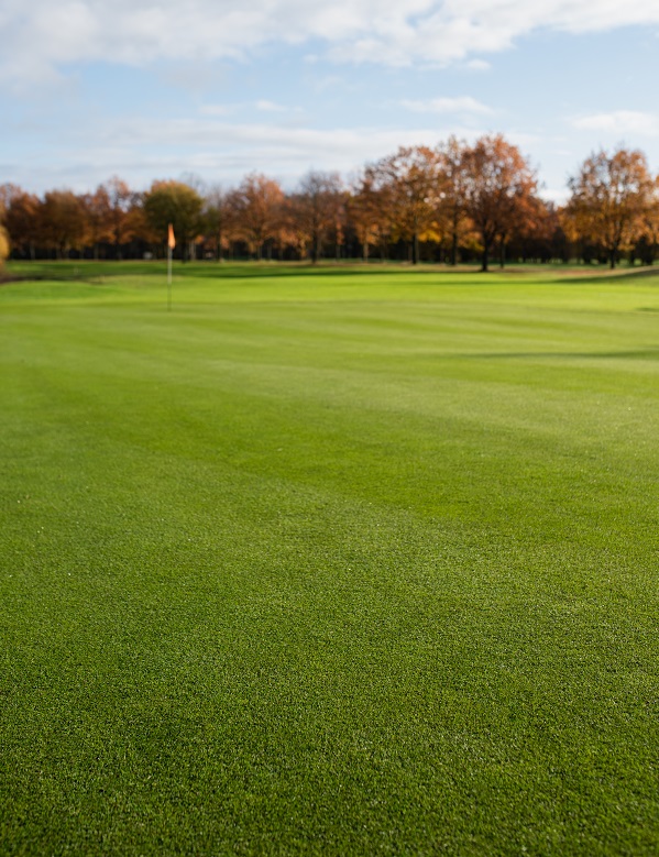 Golfbaan de Woeste Kop in Axel gebruikt graszaad van DLF | DLF
